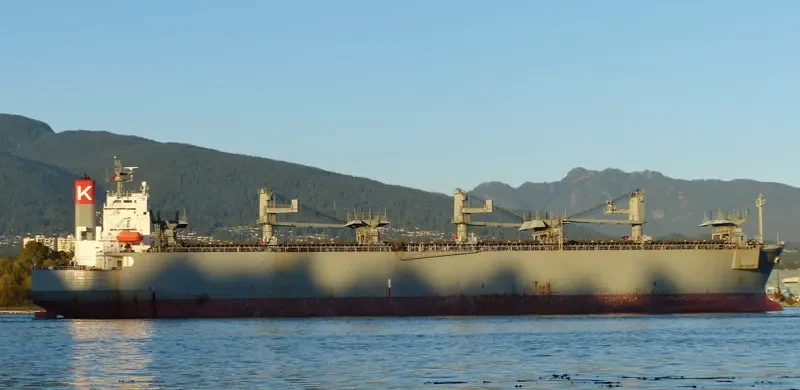 SENDAI SPIRIT Bulk Carrier IMO 9370824 photo 7