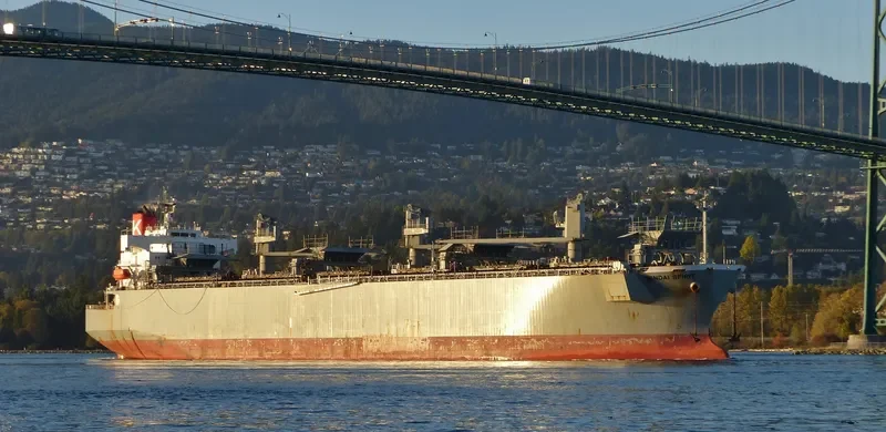SENDAI SPIRIT Bulk Carrier IMO 9370824 photo 8