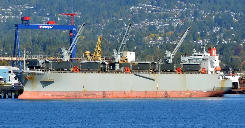 SENDAI SPIRIT Bulk Carrier IMO 9370824 photo 9