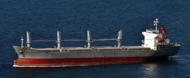 GLORIOUS FUTURE Bulk Carrier IMO 9370977