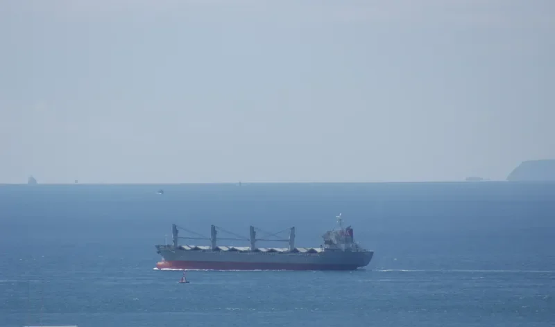 GLORIOUS FUTURE Bulk Carrier IMO 9370977 photo 3
