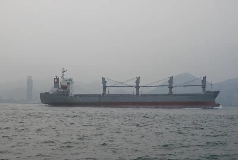 GLORIOUS FUTURE Bulk Carrier IMO 9370977 photo 4