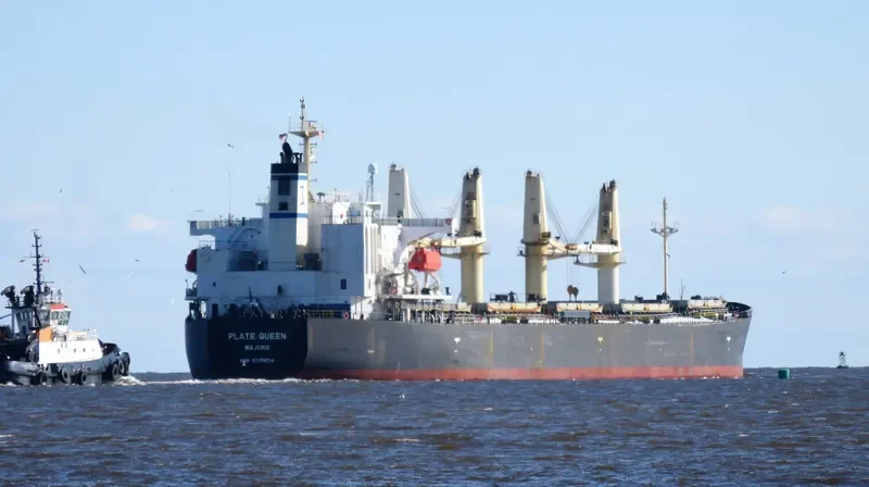 PLATE QUEEN Bulk Carrier IMO 9371074