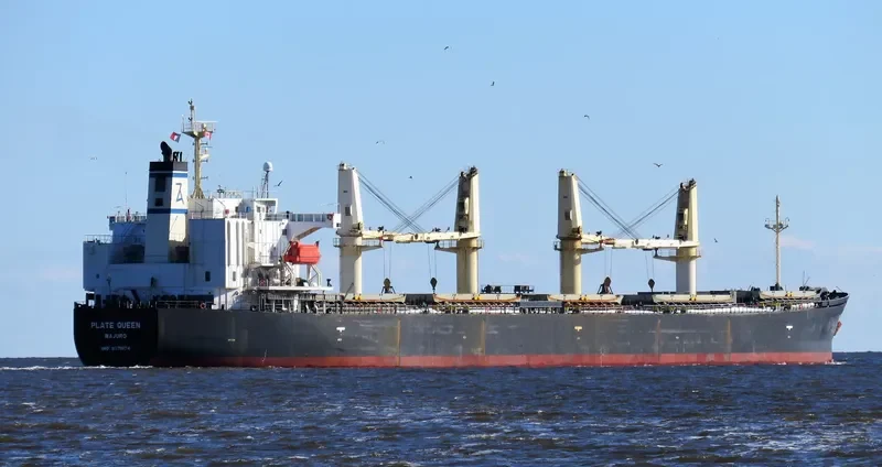 PLATE QUEEN Bulk Carrier IMO 9371074 photo 2