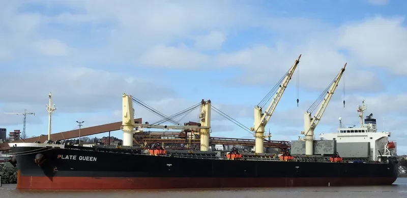 PLATE QUEEN Bulk Carrier IMO 9371074 photo 4