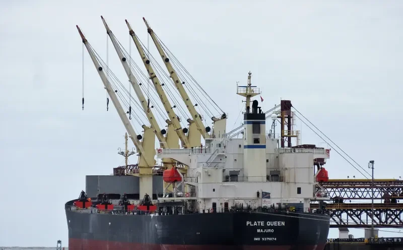 PLATE QUEEN Bulk Carrier IMO 9371074 photo 5