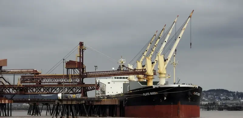 PLATE QUEEN Bulk Carrier IMO 9371074 photo 6