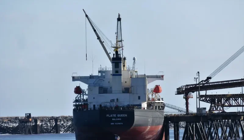 PLATE QUEEN Bulk Carrier IMO 9371074 photo 7