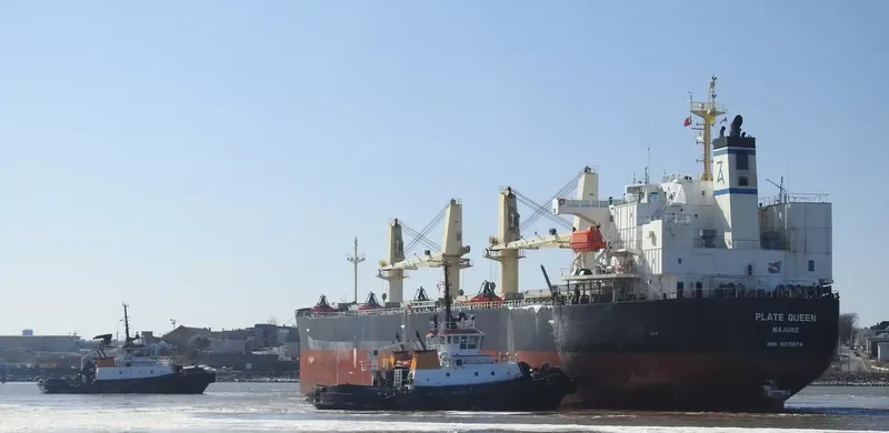 PLATE QUEEN Bulk Carrier IMO 9371074 photo 8