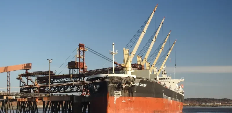 PLATE QUEEN Bulk Carrier IMO 9371074 photo 9