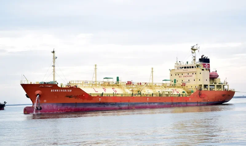 HUMMINGBIRD General Cargo IMO 9371165 photo 4