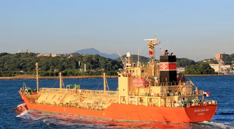 HUMMINGBIRD General Cargo IMO 9371165 photo 5