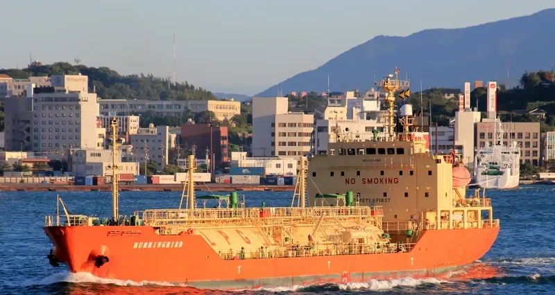 HUMMINGBIRD General Cargo IMO 9371165 photo 8