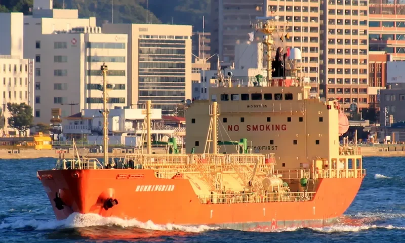 HUMMINGBIRD General Cargo IMO 9371165 photo 9