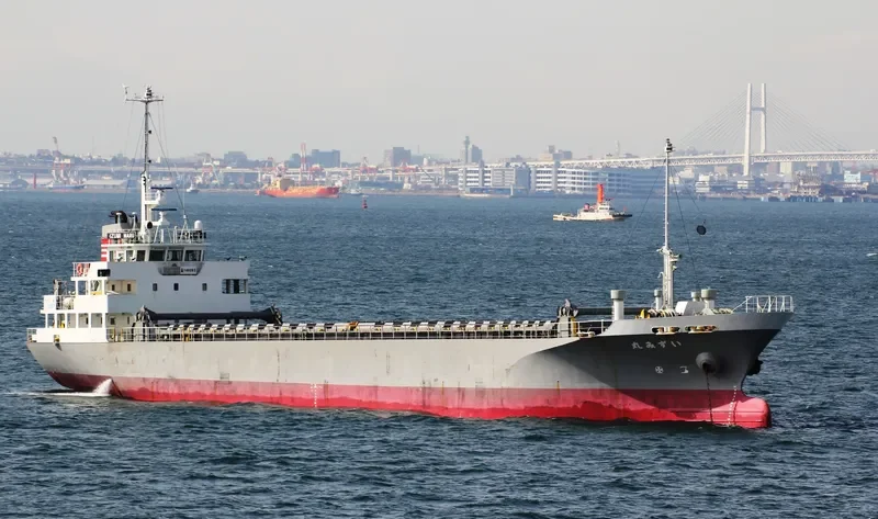 IZUMI MARU General Cargo IMO 9371220 photo 2