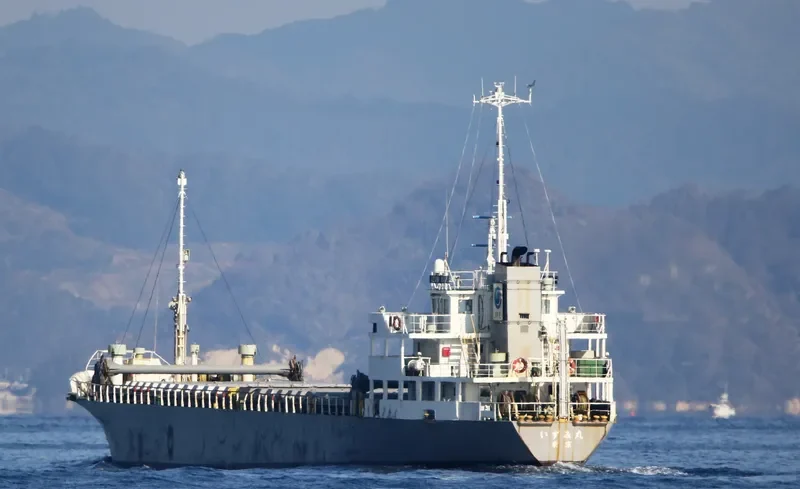 IZUMI MARU General Cargo IMO 9371220 photo 8