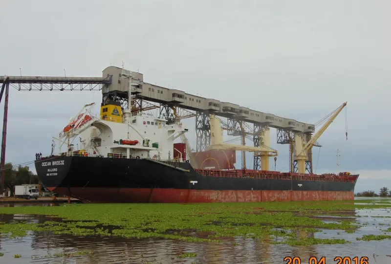 OCEAN BREEZE Bulk Carrier IMO 9371359 photo 7