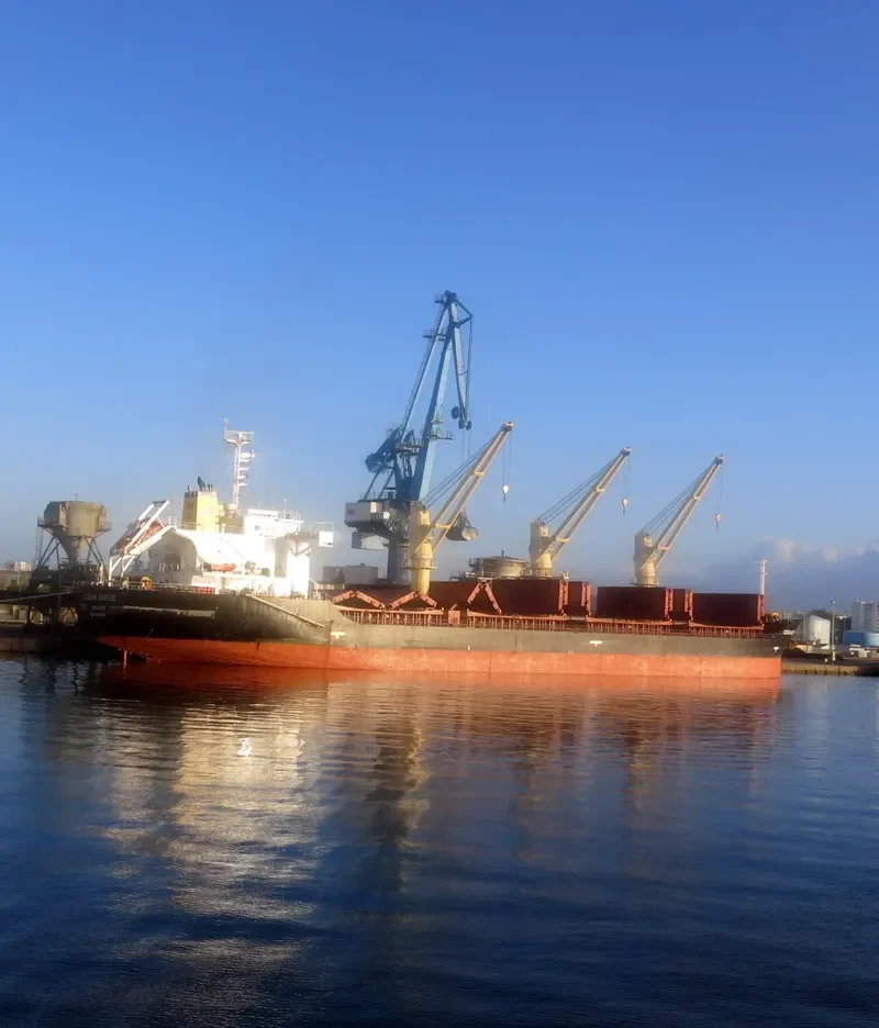 OCEAN BREEZE Bulk Carrier IMO 9371359 photo 10