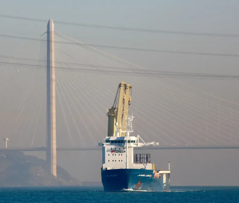 JUMBO JUBILEE General Cargo IMO 9371581 photo 5