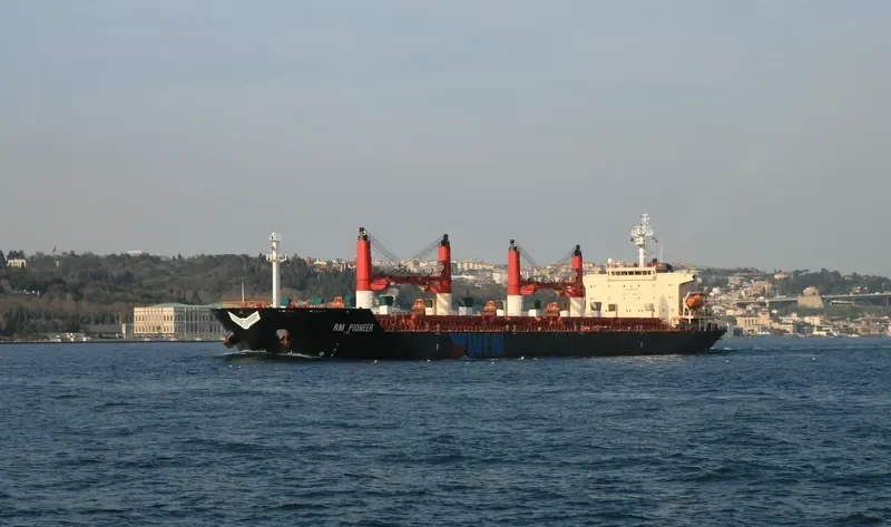 YUAN HANG WEI YE Bulk Carrier IMO 9371799 photo 3