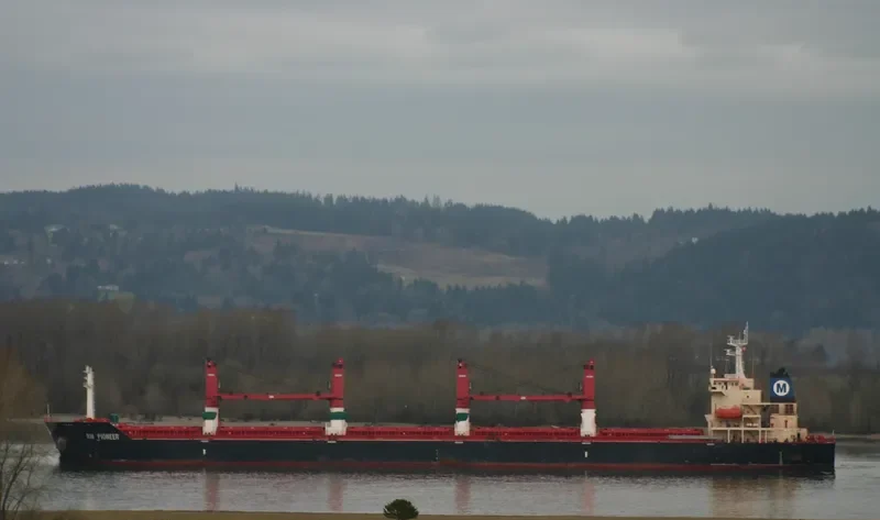 YUAN HANG WEI YE Bulk Carrier IMO 9371799 photo 9