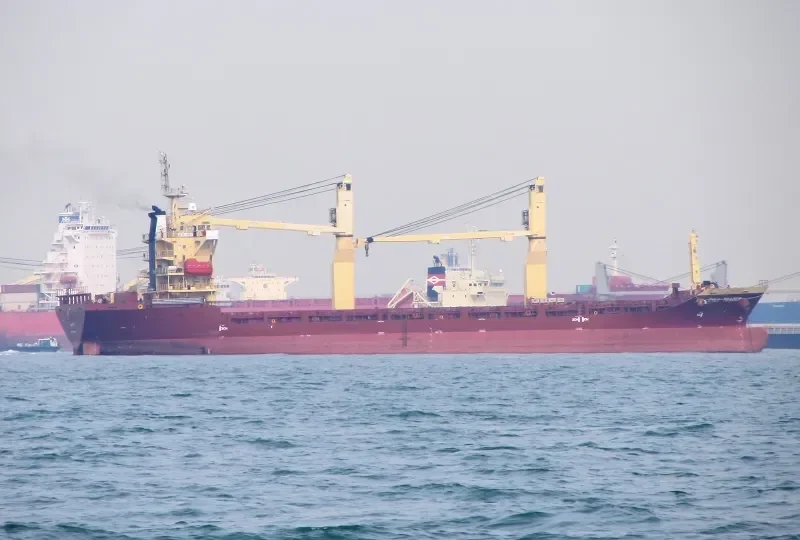 MERATUS PANGKALPINANG General Cargo IMO 9371945 photo 2