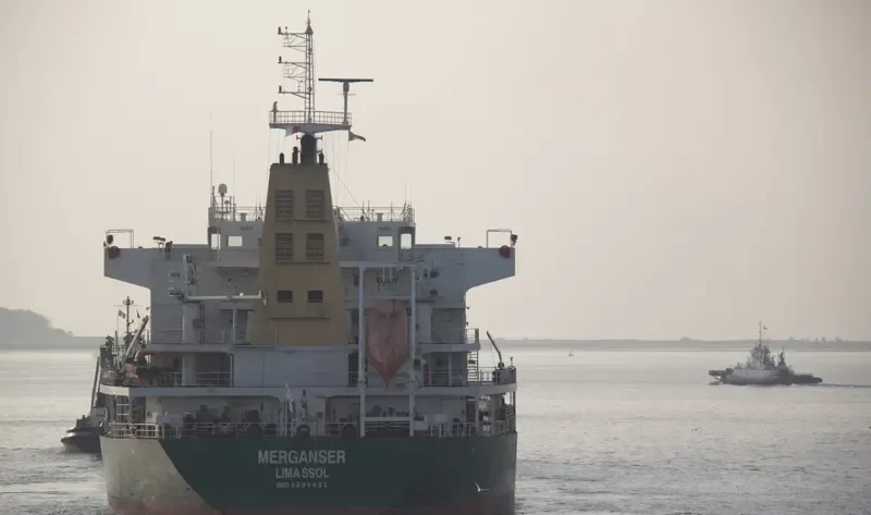 MERATUS PARIAMAN General Cargo IMO 9371957 photo 9
