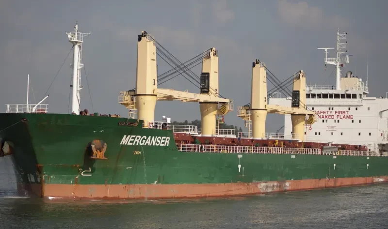 MERATUS PARIAMAN General Cargo IMO 9371957 photo 10