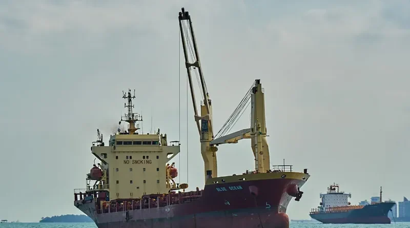 BLUE OCEAN General Cargo IMO 9372004 photo 8