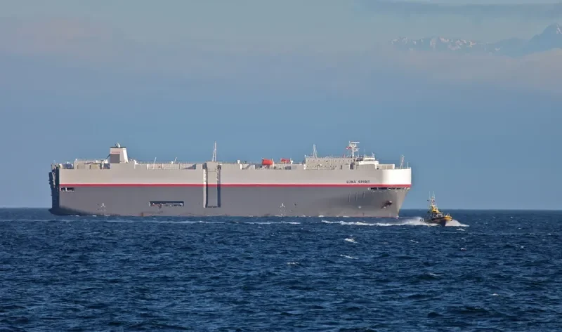 LUNA SPIRIT General Cargo IMO 9372315 photo 8