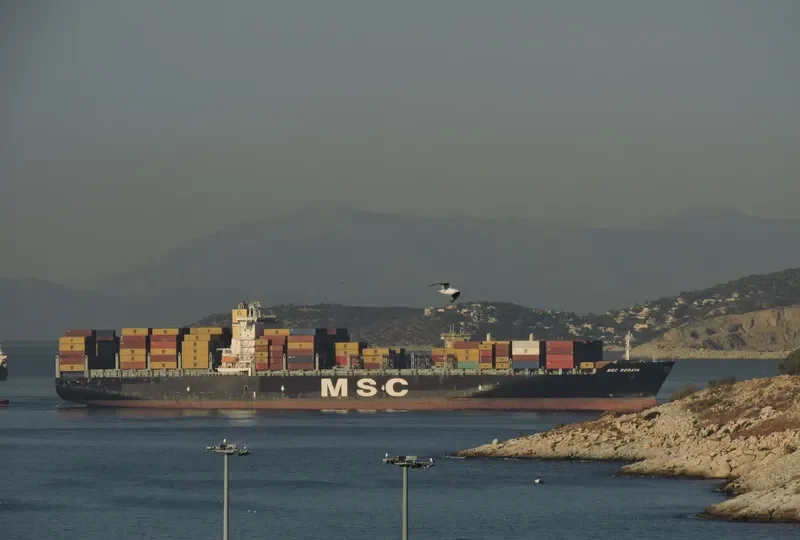 MSC SORAYA Container Ship IMO 9372494 photo 2