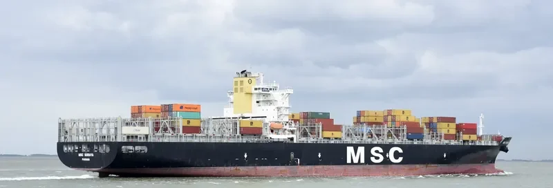 MSC SORAYA Container Ship IMO 9372494 photo 6