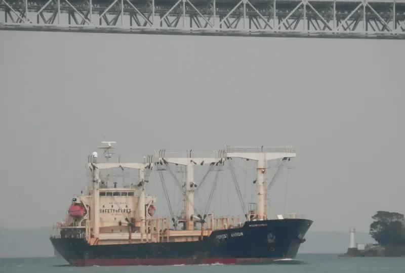 MORNING NURI General Cargo IMO 9372626 photo 2