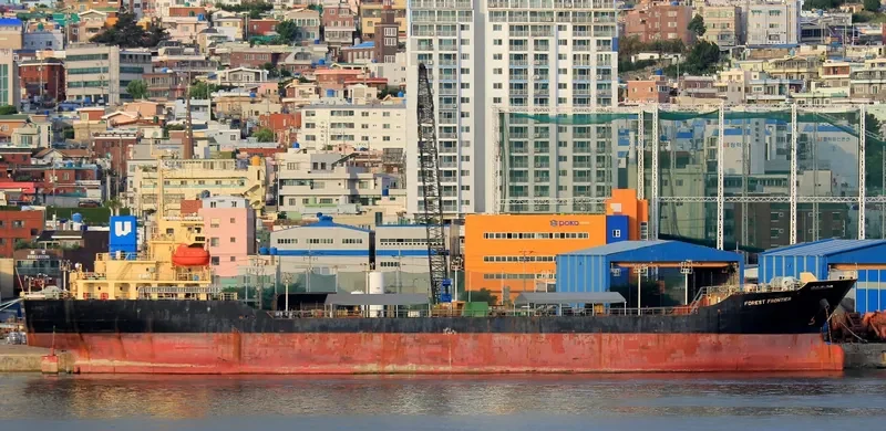 MORNING VICTORY General Cargo IMO 9372638 photo 10