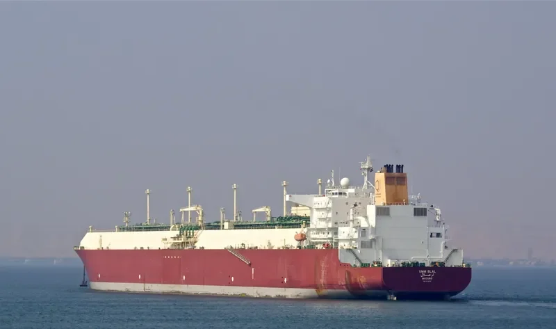 UMM SLAL General Cargo IMO 9372731 photo 6