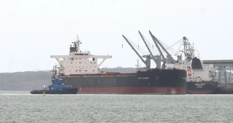 RTM TWARRA Bulk Carrier IMO 9373034