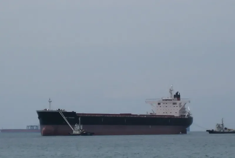 RTM TWARRA Bulk Carrier IMO 9373034 photo 2
