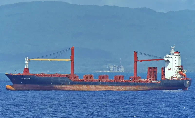 RHL AGILITAS Container Ship IMO 9373486 photo 8