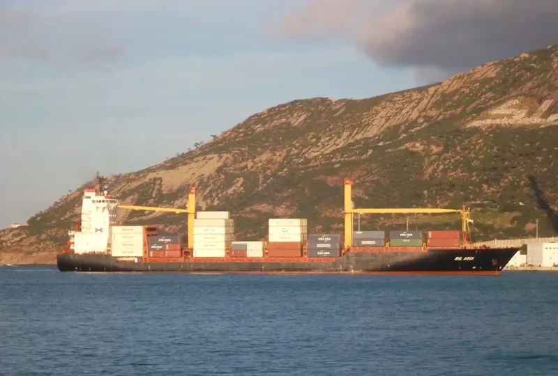 HANSA WOLFSBURG Container Ship IMO 9373498 photo 6