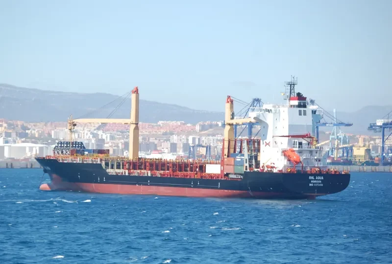 HANSA WOLFSBURG Container Ship IMO 9373498 photo 9