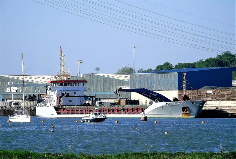 WILSON PALDISKI General Cargo IMO 9373527 photo 5