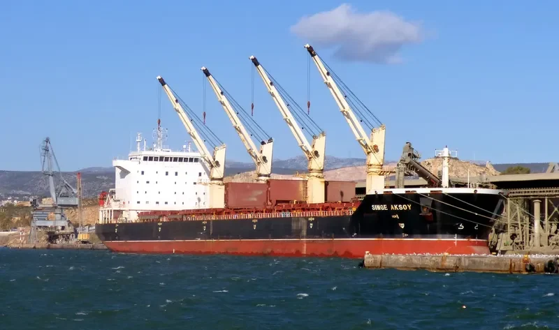 SIMGE AKSOY Bulk Carrier IMO 9373618 photo 2