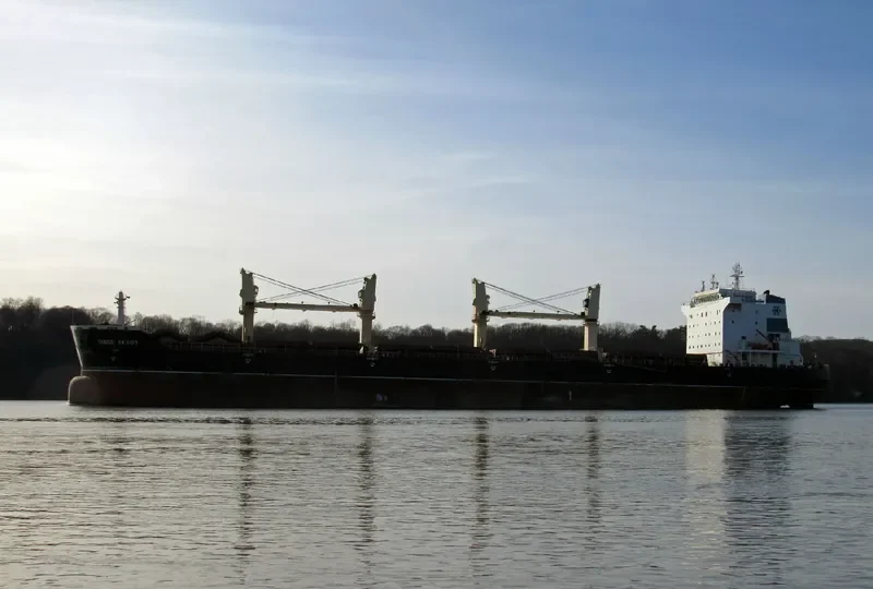 SIMGE AKSOY Bulk Carrier IMO 9373618 photo 5