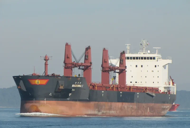 MADONNA III Bulk Carrier IMO 9373620 photo 3