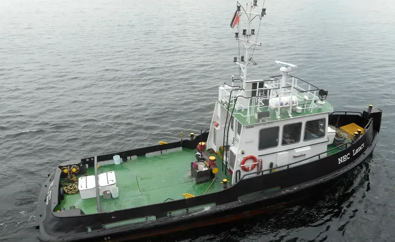 NEC LEGACY General Cargo IMO 9373694