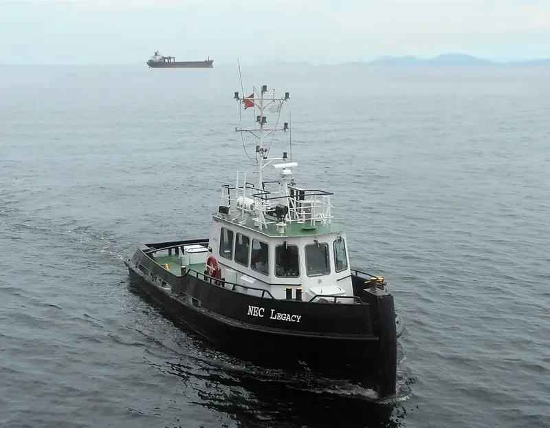NEC LEGACY General Cargo IMO 9373694 photo 2