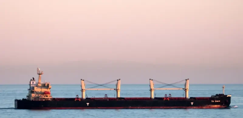 TN DAWN Bulk Carrier IMO 9373993