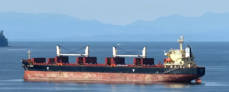 TN DAWN Bulk Carrier IMO 9373993 photo 3