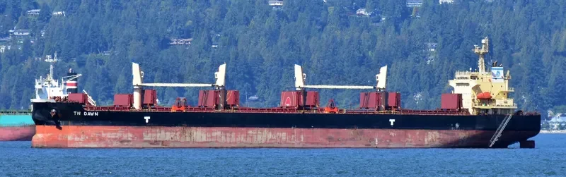 TN DAWN Bulk Carrier IMO 9373993 photo 4