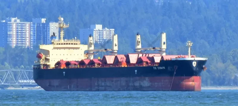 TN DAWN Bulk Carrier IMO 9373993 photo 5